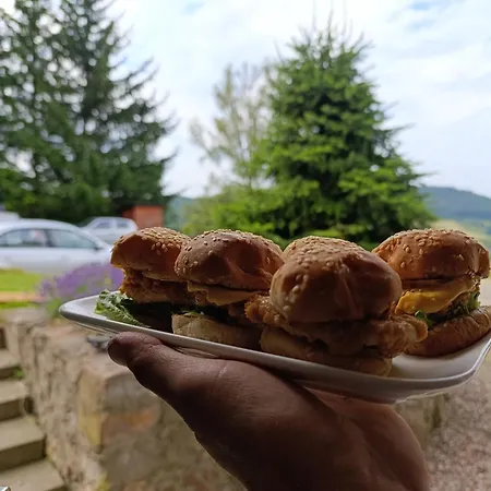 아파트 Sowi Gosciniec Wellness & Breakfast